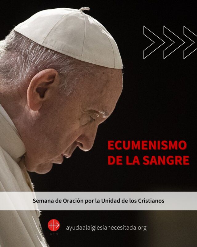 ð️ En la #SemanaDeOración por la #UnidadDeLosCristianos, la Iglesia recuerda el ecumenismo, que procura el reencuentro de los cristianos separados para poder vivir como una sola familia: la Iglesia de Cristo.
ð Rezamos por la unidad de los cristianos.
#CreesEnEsto #UnidadCristiana #Oración #Fe #CristianosPerseguidos #Esperanza #PapaFrancisco