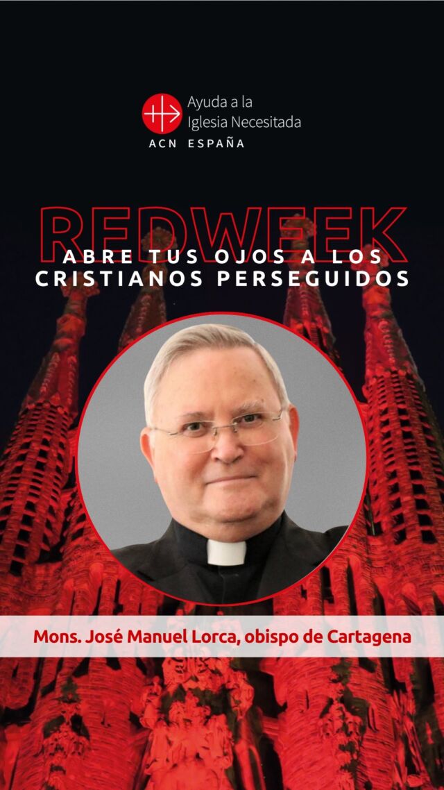 El sufrimiento de los #cristianosperseguidos “es una cuestión que nos preocupa a todos”. 

En el día central de la #RedWeekACN compartimos la invitación del obispo de @diocesisdecartagena, Mons. José Manuel Lorca Planes.
Súmate a este campaña internacional ð´