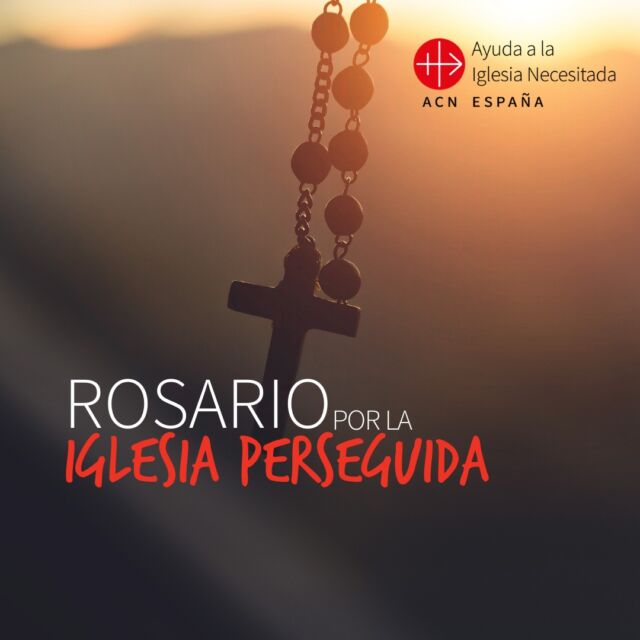 Hoy puedes rezar este rosario por nuestros hermanos perseguidos con este material que hemos preparado para ti. Miles de cristianos en el mundo necesitan de nuestra oración. 
Entra en la web, déjanos tus datos y te lo enviamos gratis por email.  El link está en nuestra BIOð